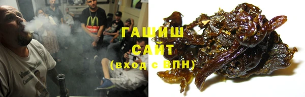 ПСИЛОЦИБИНОВЫЕ ГРИБЫ Медвежьегорск