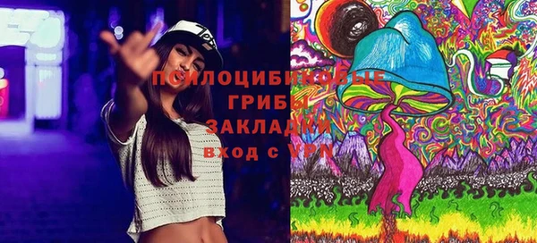 бошки Мегион