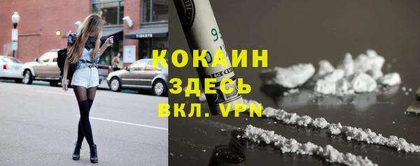ПСИЛОЦИБИНОВЫЕ ГРИБЫ Медвежьегорск