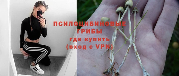 прущий лед Уссурийск