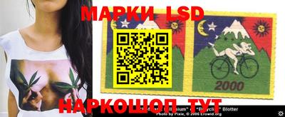 прущие грибы Шебекино
