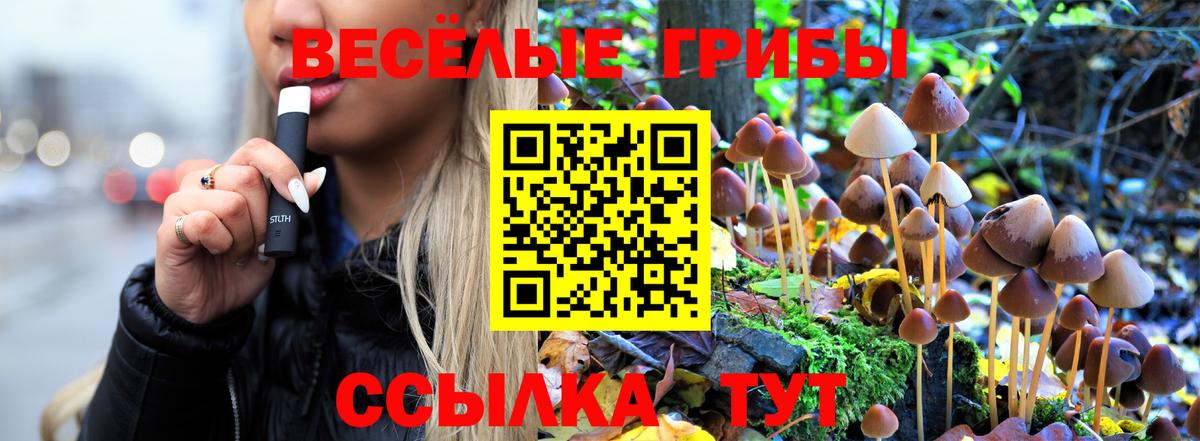 Галлюциногенные грибы Magic Shrooms Нягань